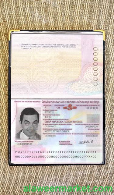 Czechia passport photo look
